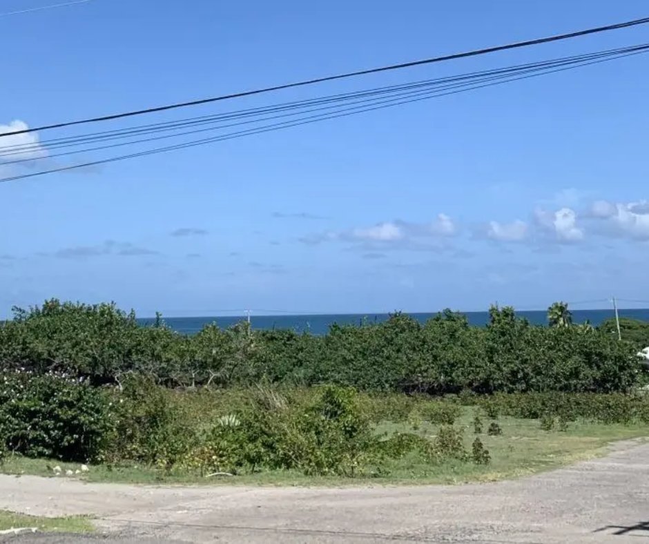 17_DegreesNorth's tweet photo. AUCTION OPPORTUNITY! 1.091 acres at Nisbett’s Estate, Nevis. Price: EC$403,953.66. Auction: Oct. 30, 2026, at the High Court, Bath Village. To register, call 869-669-0214. #realestateinnevis #upcomingauctions #islandliving https://t.co/20A83TDADj