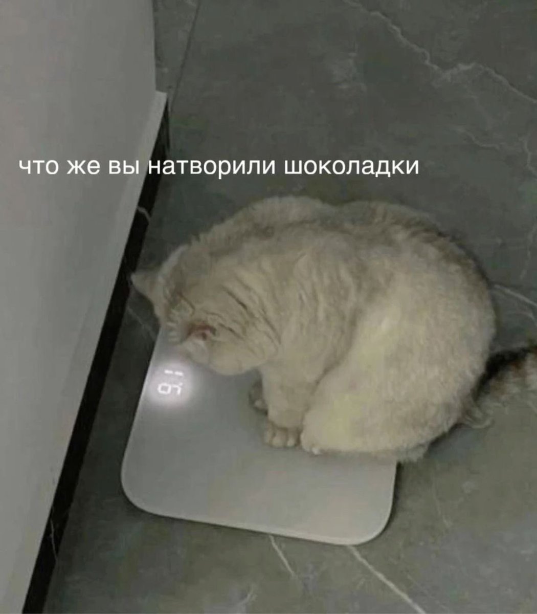 akinasujo's tweet photo. сейчас снова придётся худеть, а я разбаловала себя за отпуск с больничным. https://t.co/RlYWLxpQqy