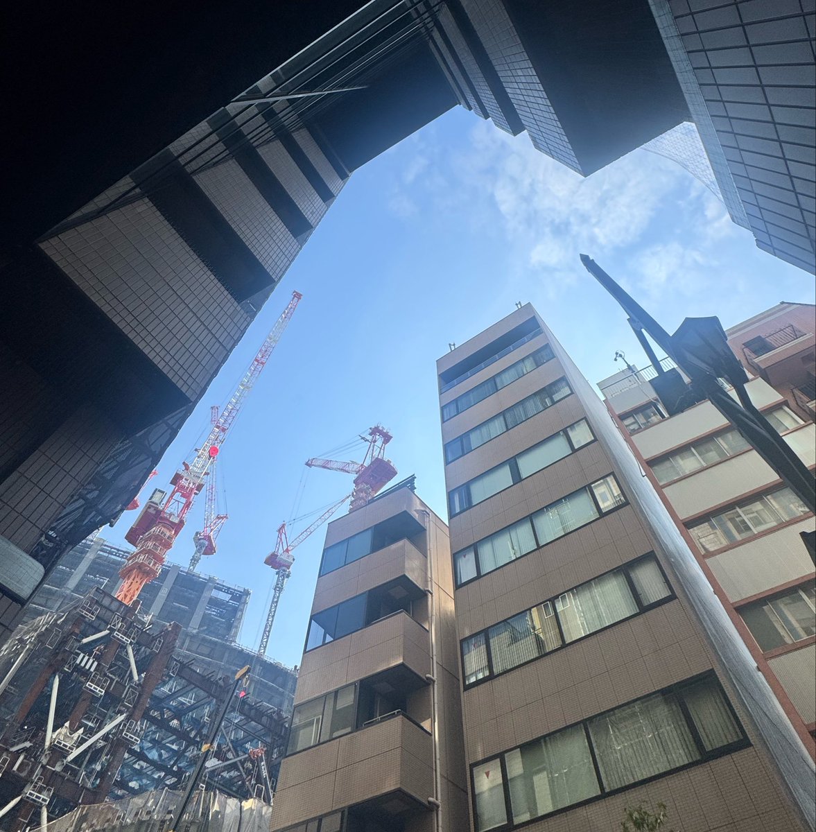 centurydaiso's tweet photo. おはようございます
東京・赤坂の天気は今日も☀️‼︎

気持ちの良い朝とは裏腹に
満員電車での通勤はストレス強🚃
降車時に“すみません、降ります”と言っても
道を開けて貰えず😢

本日もよろしくお願いいたします🤲✨
#企業公式が毎朝地元の天気を言い合う
#企業公式が朝の挨拶を言い合う
#いまそら https://t.co/6SOeXVBmj5