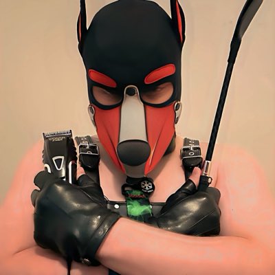 PupGrex066's tweet photo. #NewProfilePic https://t.co/kSWIc01tHB