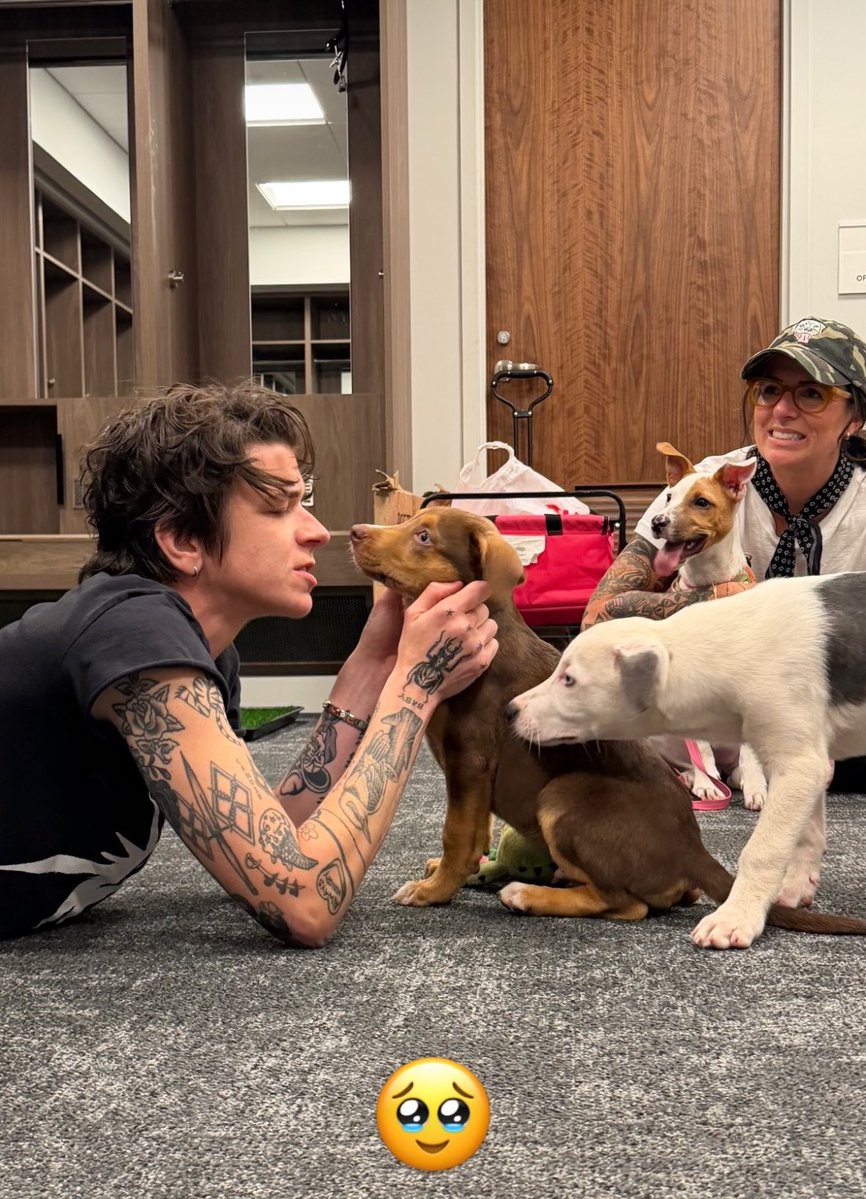 longlivrodrigo's tweet photo. PUPPIES BACKSTAGE PUPPIES BACKSTAGE! https://t.co/25upObSOTq
