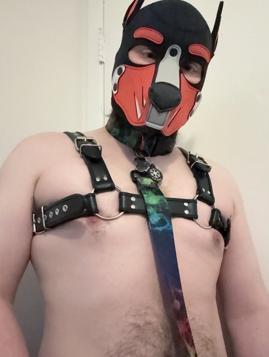 PupGrex066's tweet photo. Puppy wants to play 😈❤️😘 #pupplay #gay #bdsm #dom https://t.co/3TZbuiEOBu