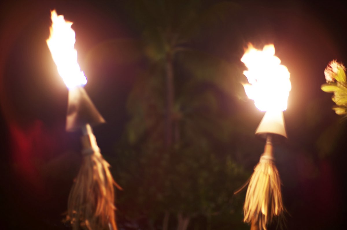 inao_toshiaki's tweet photo. WAIKIKI PHOTOGRAPH

ko olina, oahu, hawaii

Leica M11 with Noctilux-M 50mm f/1.0

palm trees in the afternoon light,

trees in motion,

torches and an empty beach at night.

#hawaii #koolina #leicam11 #noctilux50mm #waikiki_inc_photograph https://t.co/JzGecC5WfN