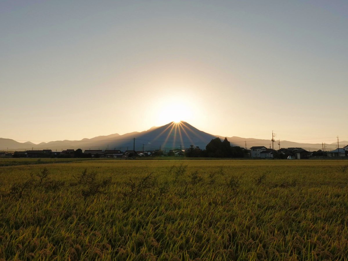 hottaroujin's tweet photo. おはようございます！（2026.10.09）

晴れは続きましたが、山頂に雲がないのは
久しぶりでした

1週間ぶりのダイヤモンド大山に逢えた
昨日の活動で筋肉痛との闘いでした
なんとか稲刈り前に間に合った♪
ありがとうございます

ブログでは写真15枚 

#ダイヤモンド大山 
#大山 #ダイセン #sun https://t.co/lrzDp0APZC