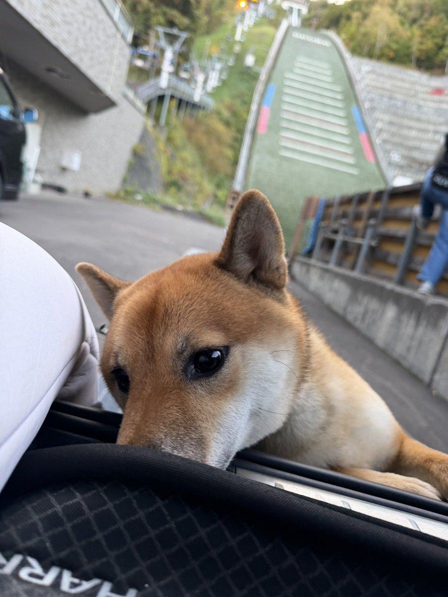 Mithumaru0831's tweet photo. 見学しにきてくれたみつまるさん https://t.co/4rS920cmdY