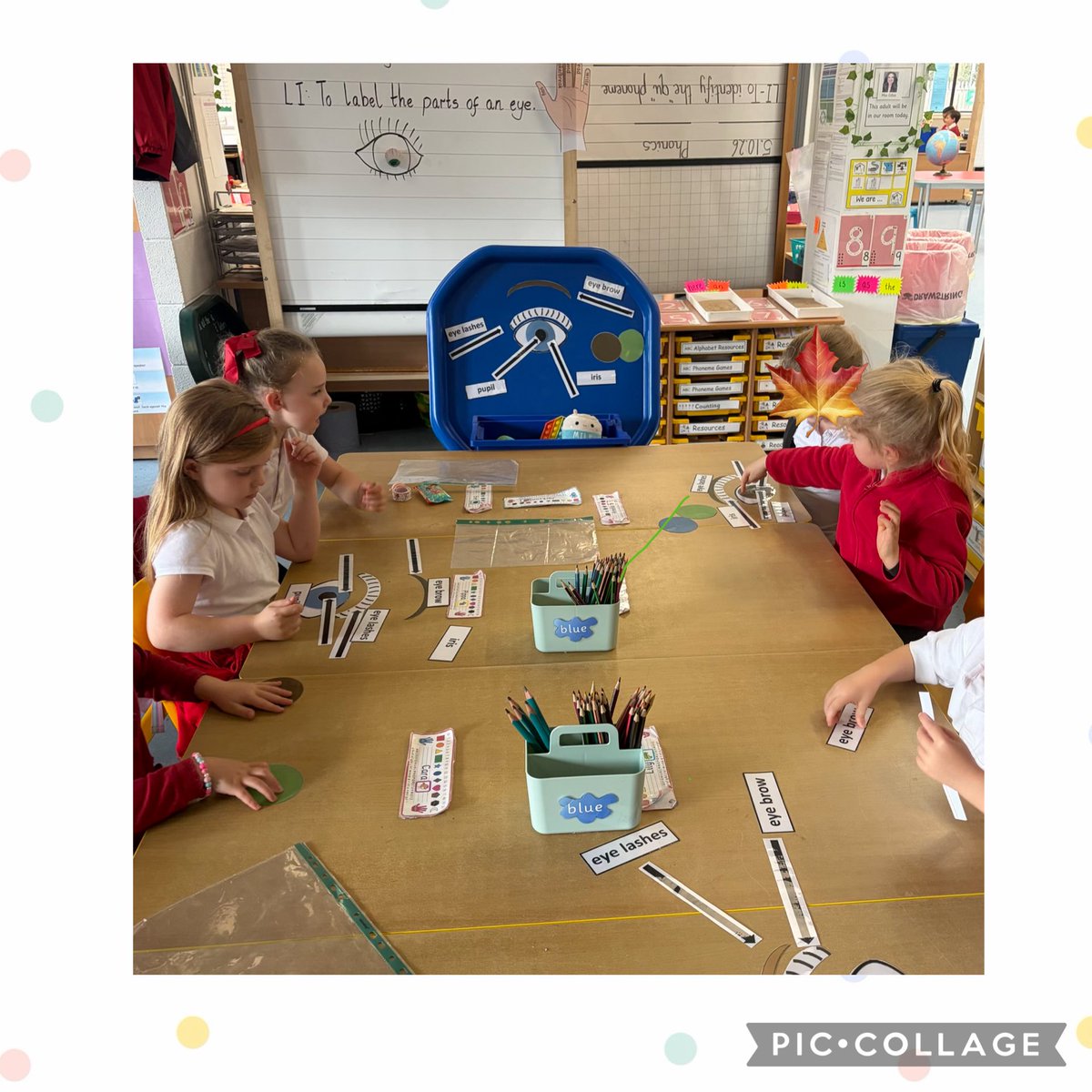 AitkenheadS's tweet photo. 👀✨ P1 have been exploring their ‘sense of sight’ through hands-on, playful learning! We used manipulatives to label the parts of the eye, went fishing for ‘s’ sounds 🎣 and searched through the sand to find them too! 🏖️🔎
#PlayBasedLearning #P1 https://t.co/Uvi6u7ZBYt