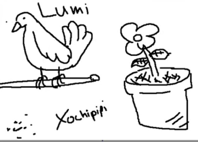 LumiereBird's tweet photo. COUNT YOUR DAYS SILLY APP I WILL CHANGE MY PFP TO THIS BEAUTIFUL BIRD DRAWING YOU CANNOT STOP ME 

WHEN I CAN CHANGE MY PFP IT'S OVER  I GOT PERMISSION HAH https://t.co/1jvWc4OyKm