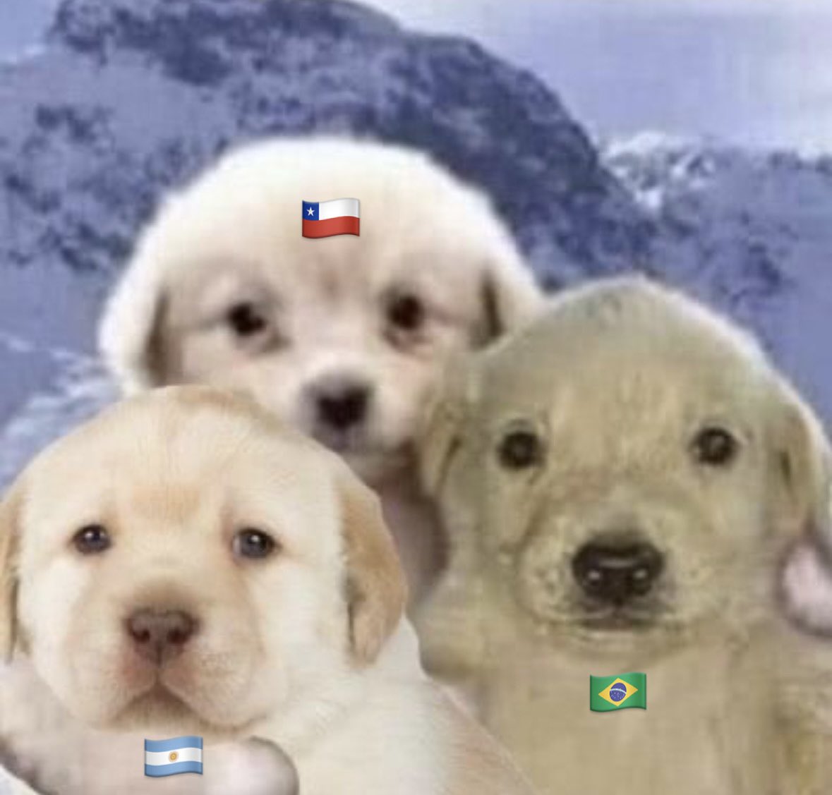 jkbnyy's tweet photo. la esperanza de los tannies https://t.co/c2wVnF0HbT
