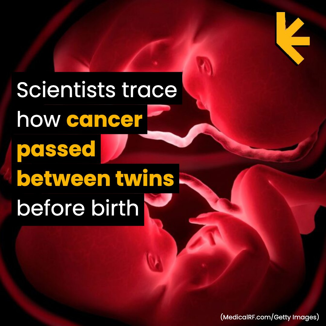 ScienceAlert's tweet photo. How is this even possible? https://t.co/35W6n6YQ2a

#ScienceNews #ScienceAlert #ScienceDiscoveries #StayCurious https://t.co/bT2XTDLBys