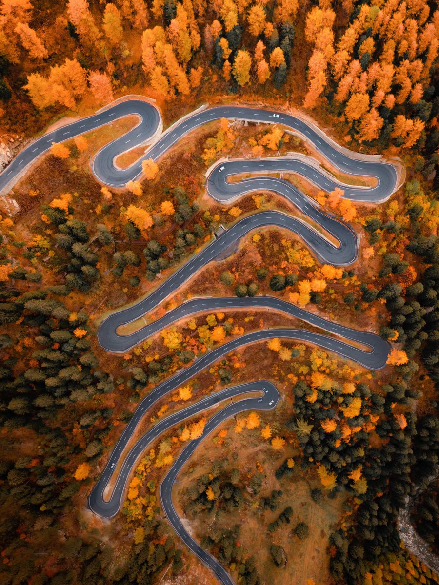 SweetTaylor8888's tweet photo. Autumn in the Alps is magical 🍁🍂 🍃

Goodnight.✨️ https://t.co/bCXMzhpWXU