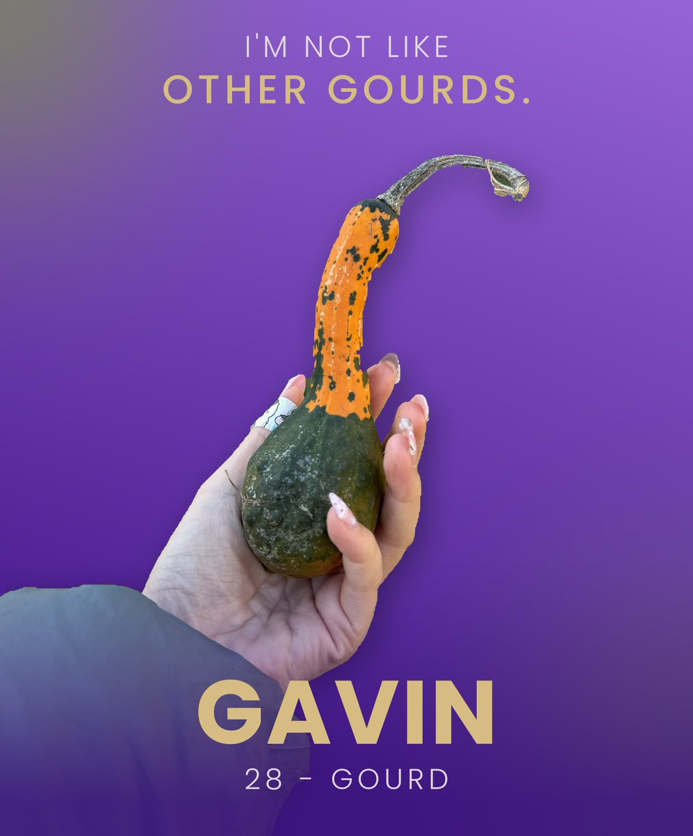 heyohelen's tweet photo. gourds need love too 🎃
#stanlaunchpad @stanforcreators https://t.co/cmA9wRUAoh