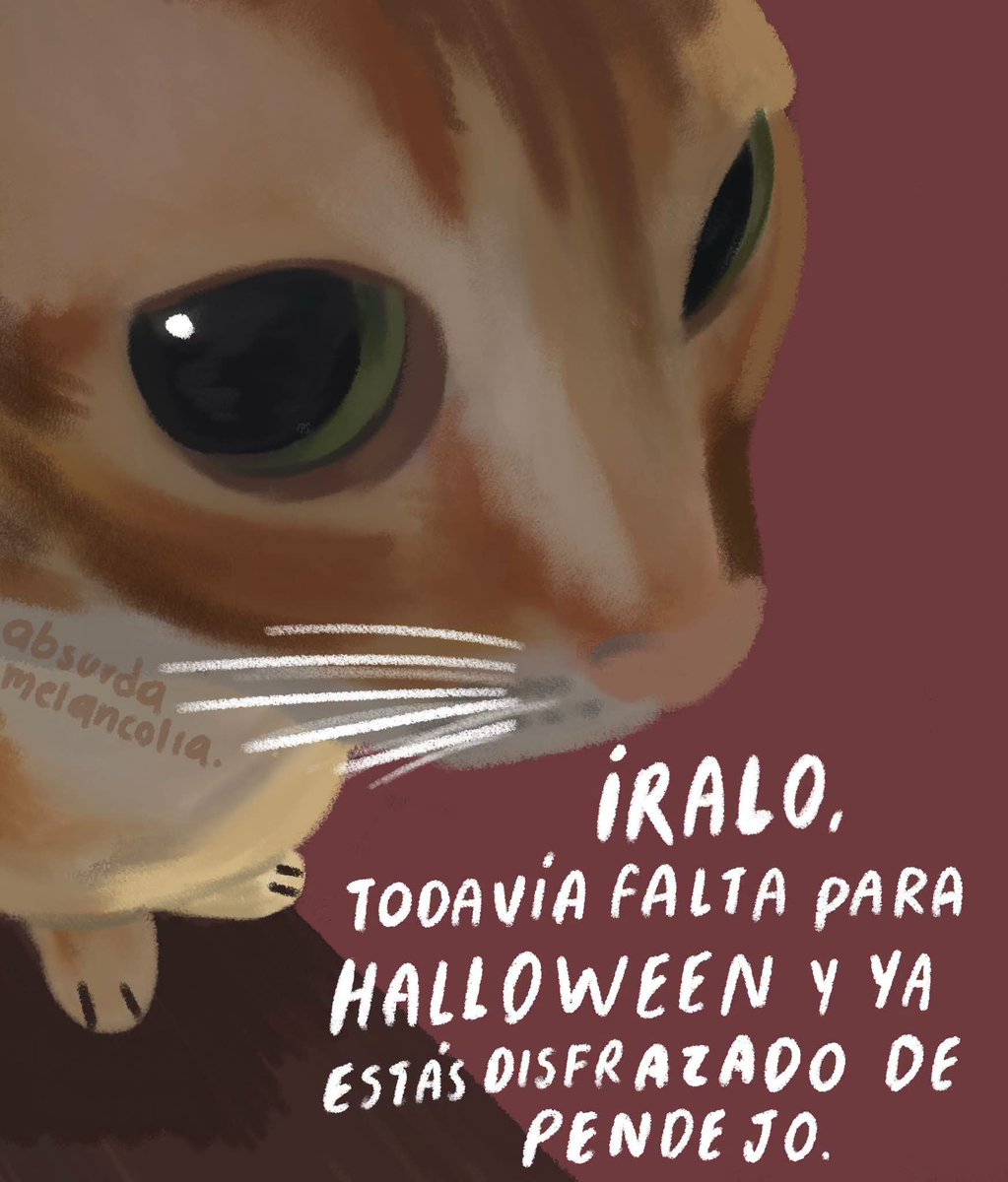 absurdamela's tweet photo. https://t.co/4Oxnqx4LSk