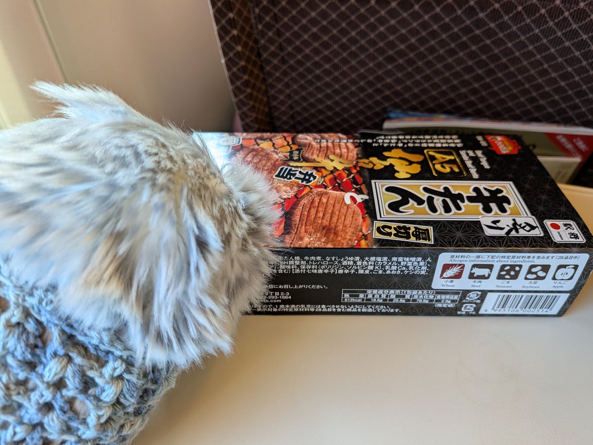 MakichiruS's tweet photo. 🎶遠いところへ行きたい〜
ぎんちゃん、初の新幹線🚄
ちなみにお弁当は飼い主の好みで、行き先ではありません(笑)
#モフリン
#Moflin
#MoflinDays https://t.co/VJbkEfe4SE
