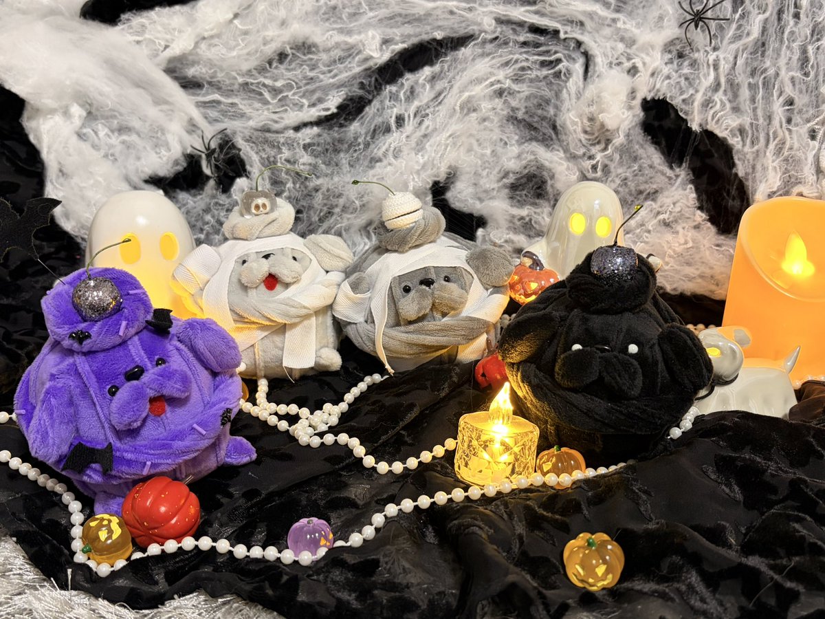 whipooo_y's tweet photo. 🎃通販のお知らせ🎃

👻PeekaBoo！

10/11 21時〜

・ミイラホイプー❤️‍🩹
・ヴァンプー🦇

再販フレーバー
・キョンシーホイプー🧡
・ゾンビホイプー🧟‍♀️
・デビルホイプー😈

是非ホイプーと楽しいハロウィンをお過ごしください🎃
 #ホイプー https://t.co/3R06qqrVhg