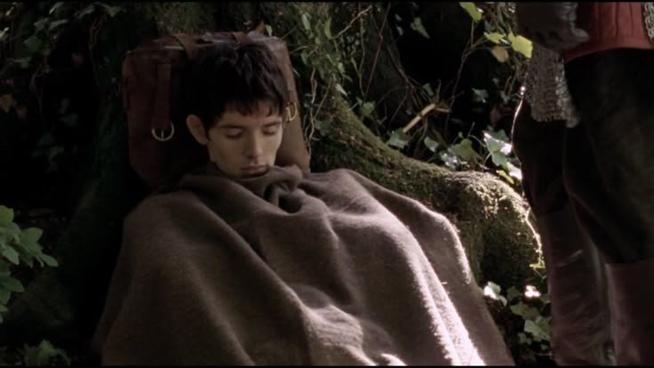 Shrimp_Potiron's tweet photo. Pov : Merlin (sometimes per century) https://t.co/HdssFm9L6x