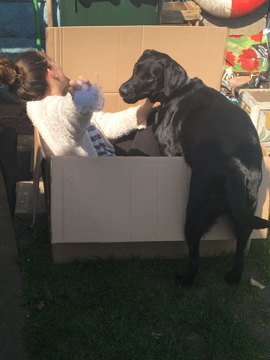 Chlowey235's tweet photo. Hey zoolovers wanna be part of my private Zoo community group on Telegram❤️✨️?

https://t.co/f2wKmhcqwc

 #zoophilia #bestiality #doglover #dogknotting #dogsex #knotty #dogpill #dog #puppy #dogwhore #dogwoman #transgender
#LGBTQ #dogwhore #artofzoo
#artofzoofirsttime #dog #pet https://t.co/tLOpCRfgXU