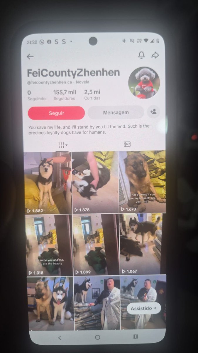 Camysbi's tweet photo. ⚠️ DENUNCIEM: ABUSO CONTRA ANIMAIS NO TIKTOK! ⚠️
Gente vim relatar sobre uma série de vídeos que vim vendo no tiktok, vi diversas pessoas comentando nos vídeos sobre terem denunciado e o tiktok não ter feito absolutamente NADA! O tiktok não deixa nem tirar print da tela. https://t.co/0p1SyeJCLq
