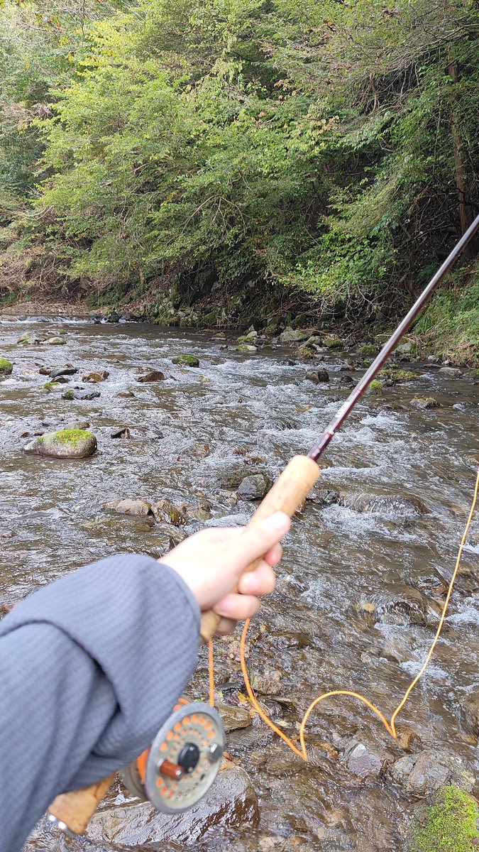 zouRinnushi's tweet photo. 涼しくていいそして釣り楽しい https://t.co/Bc8Uinwb7Z