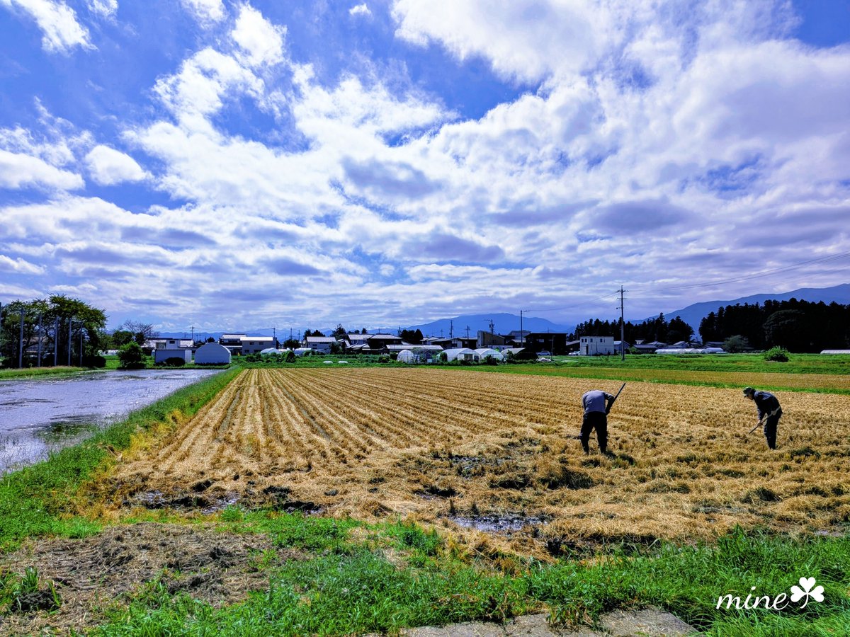 MINEKO_69's tweet photo. 私の大好きな地元
変わらない安心感と
今は遠い所にいる切なさ https://t.co/zA7gUufHRz