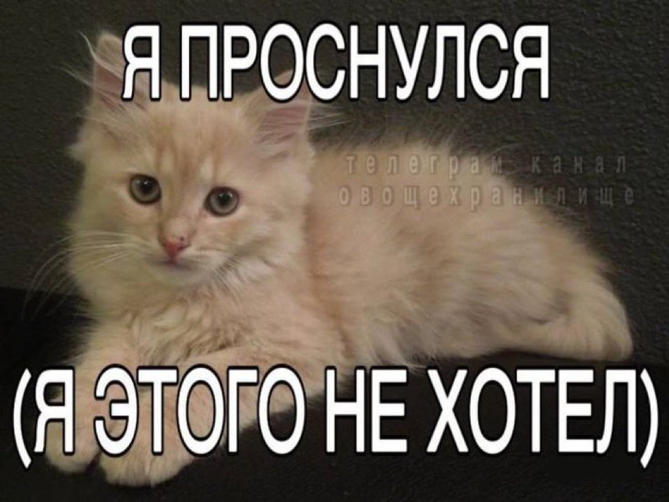itsflourr's tweet photo. https://t.co/4e4FQ07UEP