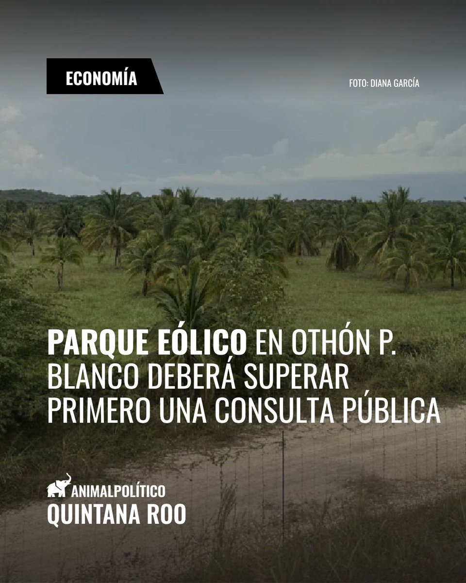 AP_QuintanaRoo's tweet photo. 🌬️⚡ El proyecto del parque eólico Vientos del Caribe, en Othón P. Blanco, contempla una inversión de 4 mil 400 millones de pesos y 52 aerogeneradores. 

https://t.co/s6pyY6E6KY https://t.co/zXRYAAp4Cr