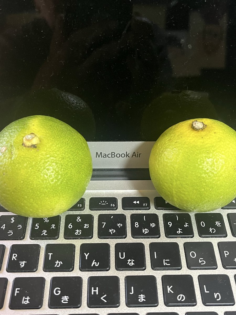 selamatdd's tweet photo. ご贔屓？よりいただきました。カボス。 https://t.co/j9Dgab3RHP