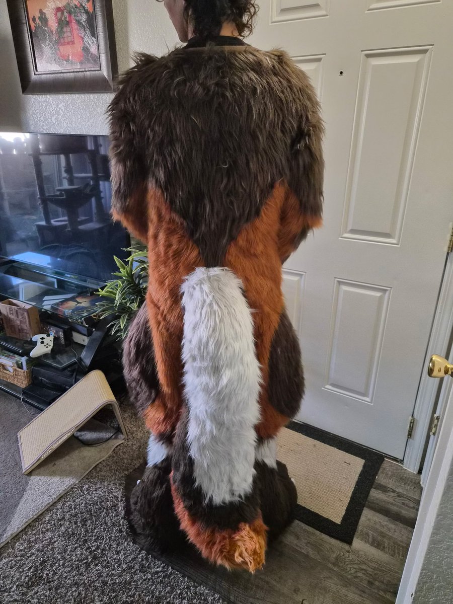 _Terra_husky's tweet photo. fursuit from @Eatingappleseed  finally arrived and its bad. The head isnt properly constructed, the bodysuit does not fit me, and overall the quality and just the craftsmanship fell extremely short. https://t.co/ReV4cOaidn