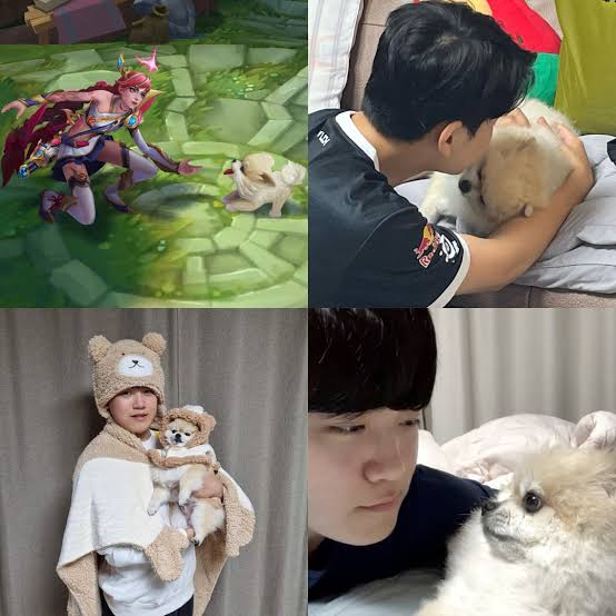 Sheep_Esports's tweet photo. Gumayusi and his dog Doongi are featured in new Worlds MV "Know My Name" https://t.co/uhOCh1qSgf