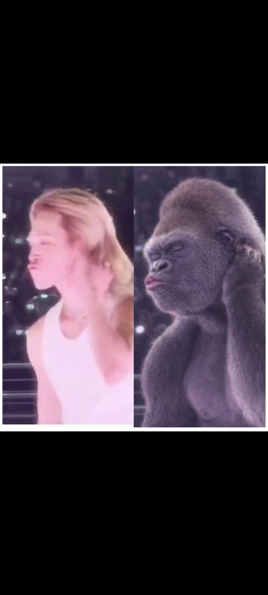 blacknipss's tweet photo. @jimin_mymuse95 Exhausted trying to defend a true monkey?😭😂 https://t.co/JvOCTeSr1N