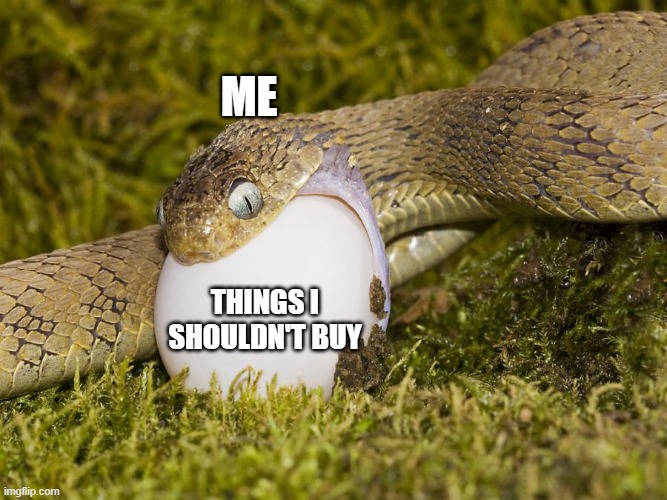A meme featuring a snake unhinging its jaw to swallow a large white egg, labeled 'ME' on the snake and 'THINGS I SHOULDN'T BUY' on the egg, with an 'imgflip.com' watermark.