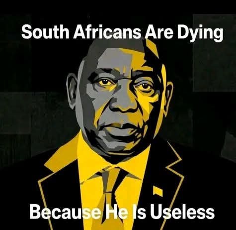 1976_12's tweet photo. When woman was killed in Kempton park @CyrilRamaphosa played golf. When the country was burning @CyrilRamaphosa went to milk cows and celebrate 🌲🌲. When illegal immigrants get confronted by SA citizens @CyrilRamaphosa deployed the army to protect the foreigners. Wake up SA. https://t.co/ll5L2QCmM2