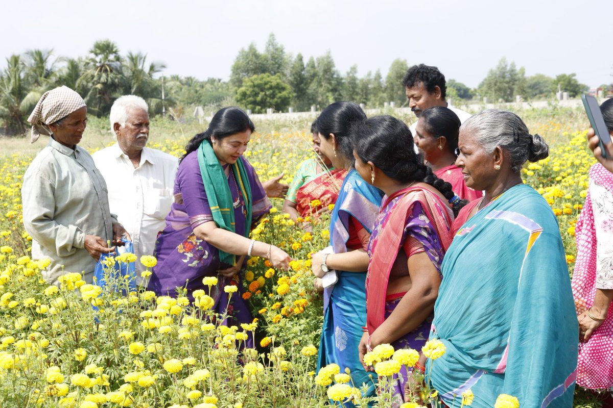 Prashanthi_VPR's tweet photo. బుచ్చిరెడ్డిపాళెంలో పట్టాదారు పాస్ పుస్తకాల పంపిణీ అనంతరం ఉద్యాన పంటలను పరిశీలించి, రైతులతో మాట్లాడి పంటల దిగుబడి, మార్కెట్ ధరలను అడిగి తెలుసుకున్నాను. తోటలో కూరగాయలు, బంతిపూలను స్వయంగా కోసి, రైతుల సాగు అనుభవాలను తెలుసుకున్నాను. రైతుల సంక్షేమం, వ్యవసాయ అభివృద్ధికి ఎల్లప్పుడూ కట్టుబడి ఉంటాను.

#VemireddyPrashanthiReddy #FarmersWelfare #FarmersWelfare #Kovur #IdhiManchiPrabhutvam