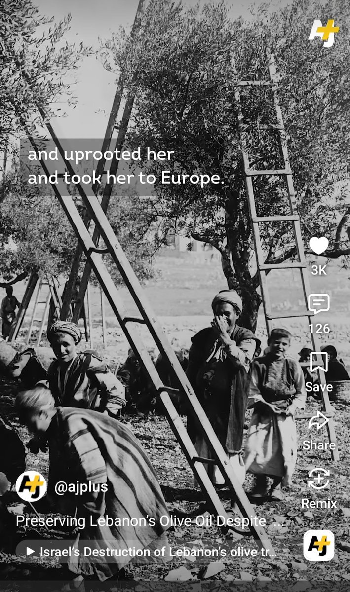 HugoMS4's tweet photo. https://t.co/rCytRQGZzk @StateDept @Ilhan @sahouraxo @RachBlevins @maddow @Ilhan @rulajebreal @_FriedrichMerz @EmmanuelMacron @miaamormottley @Palestine_UN @gideonle @MariamBarghouti @SenSanders  @MarkJCarney @PresidenciaCuba @yanisvaroufakis @sanchezcastejon @GeorgiaMeloni @AOC https://t.co/ydpubbU8mu