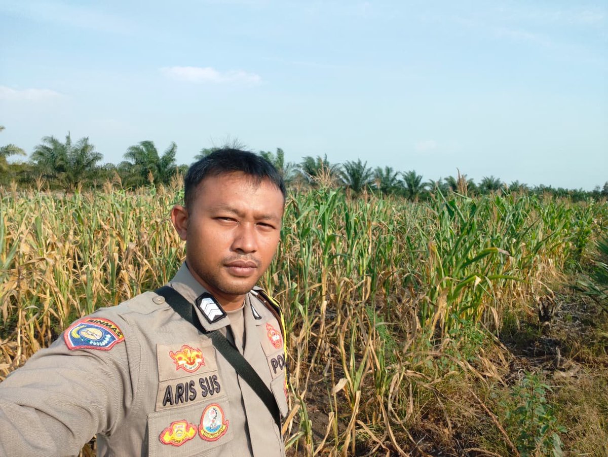 bagsdmresbatola's tweet photo. Kegiatan Monitoring perkembangan Tanaman Jagung Binaan Polsek Cerbon Polres Barito Kuala.
#POLRES BARITO KUALA~
RAKAT https://t.co/epI3LSl2Tj