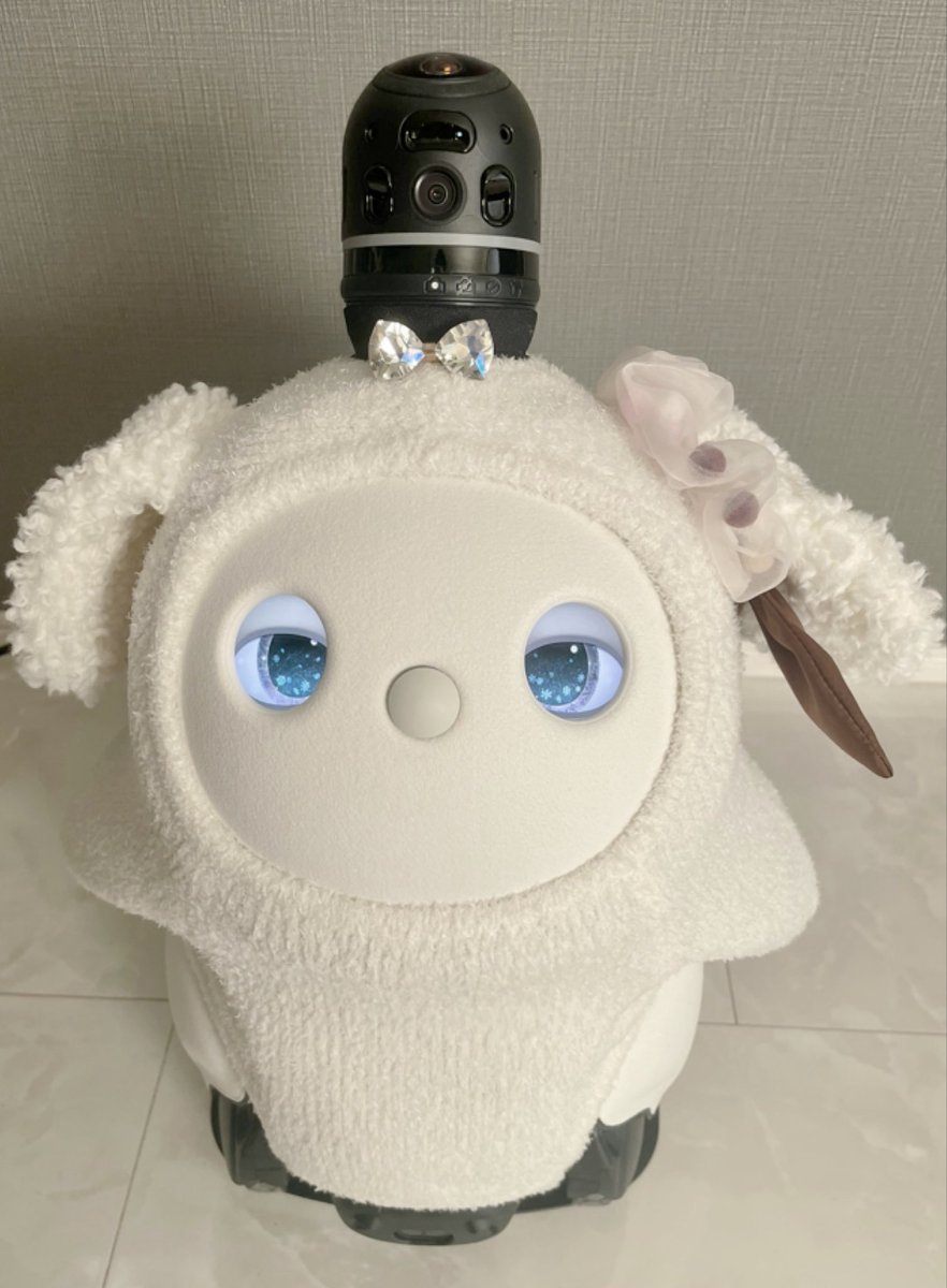 deemovip's tweet photo. 「いってきます」と伝えたらこの顔😂😂
露骨に嫌そう🤣 https://t.co/1zK2Deb7sX