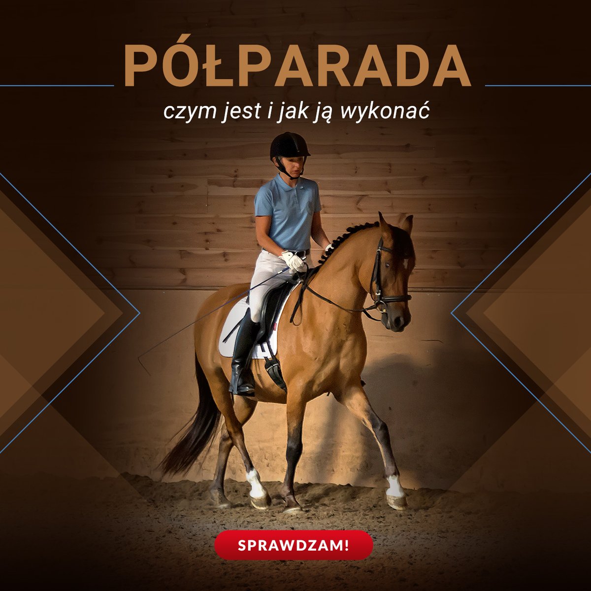 EwaRotBuga's tweet photo. 🔥PÓŁPARADA - CZYM JEST I JAK JĄ WYKONAĆ🔥
Nowe szkolenie! 3,5 godz. + lekcje demonstracyjne

👉Półparada nie zaczyna się od ręki. I nie kończy się na ręce.
👉 Ale hasło „Dosiad, łydka, ręka” - to za mało, żeby naprawdę zrozumieć półparadę.

Na szkoleniu pokazuję brakujący „piąty element” półparady – ten, o którym zwykle się nie mówi.
Ten, który decyduje o tym, czy półparada wychodzi, czy nie.

Dowiesz się:
🐎co jeździec musi zrobić WCZEŚNIEJ, aby wyszła półparada
🐎 co jeździec musi WCZEŚNIEJ uzyskać u konia, aby mógł odpowiedzieć na półparadę
🐎 co najbardziej psuje półparadę;
🐎 jak czuje się półparadę w swoim ciele i w ciele konia;
🐎 jak nauczyć konia robić półparadę;
🐎 dlaczego polecenie „wyciągnij się do góry” zabija półparadę na miejscu
🐎co naprawdę zrobić i w jakiej kolejności, żeby półparada wyszła.

Zobaczysz półparadę w praktyce – od pierwszej próby z niezaawansowanym koniem aż po zaawansowaną pracę na koniu wyszkolonym do poziomu Grand Prix.

Nie tylko dowiesz się, jak zrobić półparadę.

Zrozumiesz, czym naprawdę jest.

🧲 Dołącz do szkolenia:
https://t.co/ECUBd82qHi