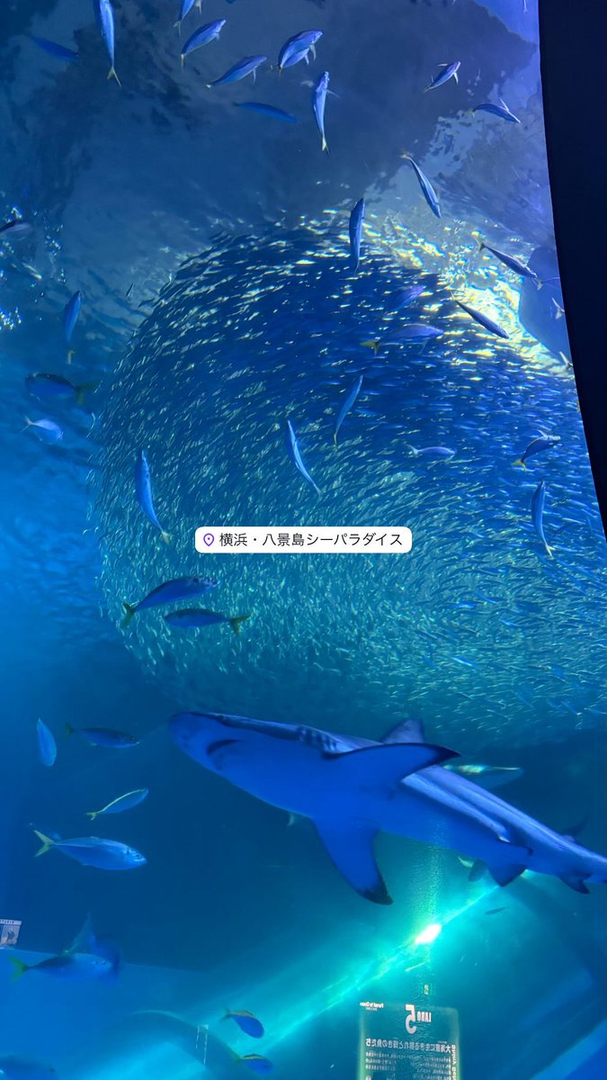 yohaku366's tweet photo. （ 23 ）社会人 👧🏻
 #日常垢 #日常垢さんと繋がりたい https://t.co/QYITJ7f5CK