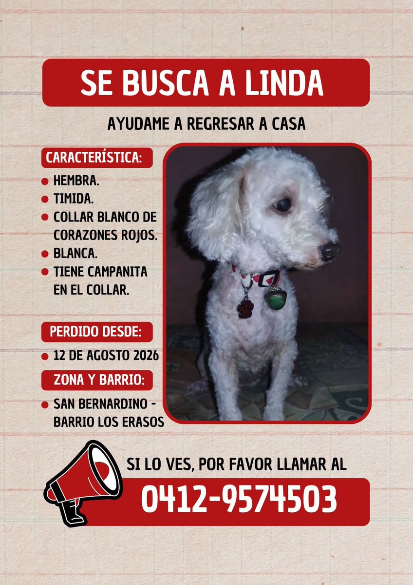 PerroUsuario's tweet photo. Se busca a Linda. Su familia humana no ha dejado de buscarla. San Bernardino Caracas https://t.co/j6YplxZ35U