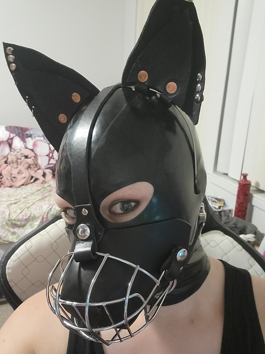 Anemonaughty's tweet photo. I've been so busy I forgot my first hood arrived. I like it with my ears but I think I need to rework the design for this 🤔 https://t.co/I6tKso2afk