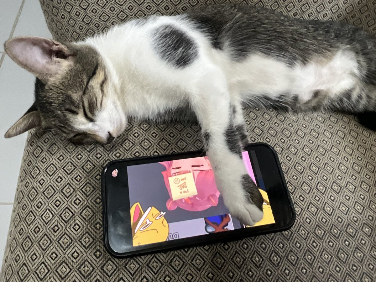 olaplapan's tweet photo. bro fell asleep while watching peak https://t.co/kI7WQfB79f