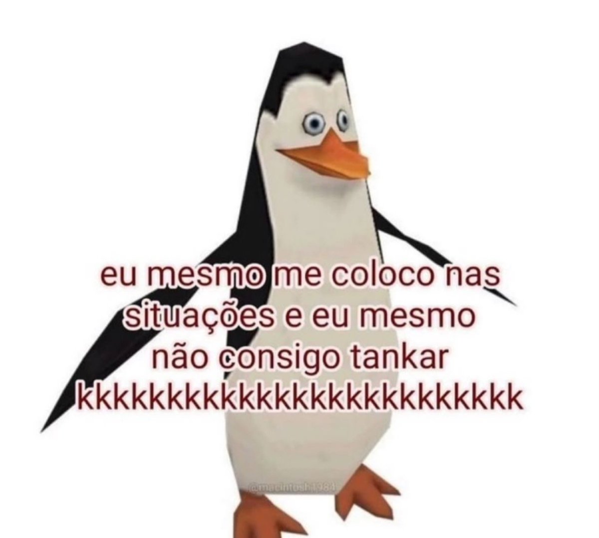 Bilya_bi4's tweet photo. A tensão de saber q pode ser a qualquer momento kkkk https://t.co/5KPJpDeUdl