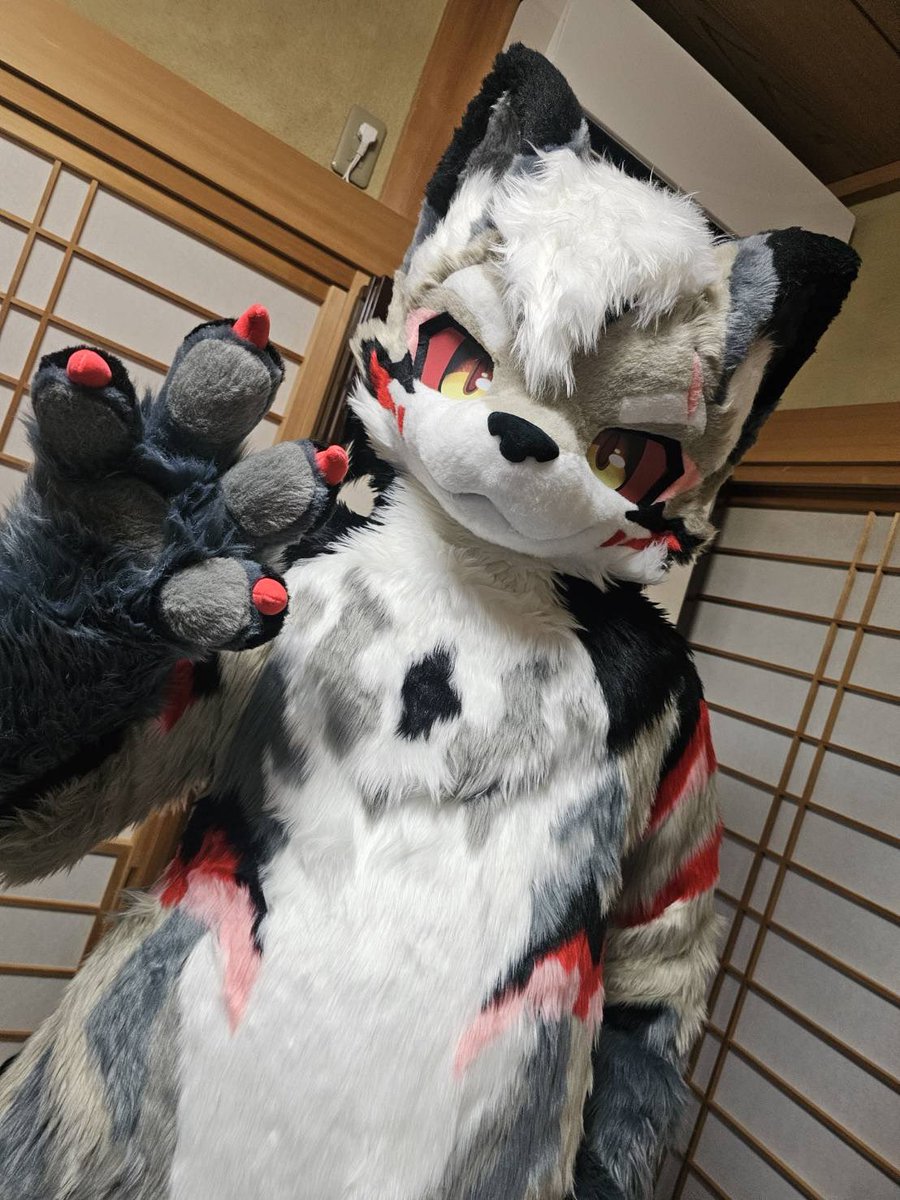 KOU_FUR's tweet photo. 🐾
#FursuitFriday #鸿萌造物 #Furmony https://t.co/penTKiqOm8