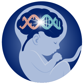 DukeBrain's tweet photo. DIBS Dream Teams -- Day 4! (out of 5). Details in first reply.

4. Duke IN utero Fetal NeuroTherapies (INFaNT).

The vision of the INFaNT Dream Team is to build an intellectual community to advance in utero gene therapies for fetal neurological disorders. https://t.co/Vm3lBozqch