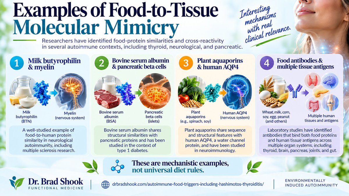 shookdc's tweet photo. If you have Hashimoto’s, could an immune reaction to a food also recognize one of your own tissues?

Yes!

Learm more: https://t.co/wKE3yG1iZl https://t.co/ViQr6GWFWb