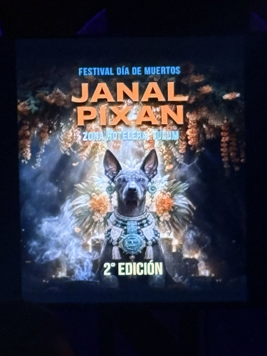 VERO_MIER's tweet photo. 🎃💀 
Rueda de Prensa #JanalPixan  zona hotelera 
2 da Edicion
#Tulum   Visita la fan page y entérate de todo    https://t.co/36VjTfAgP8 https://t.co/i2Z6EvHV4x