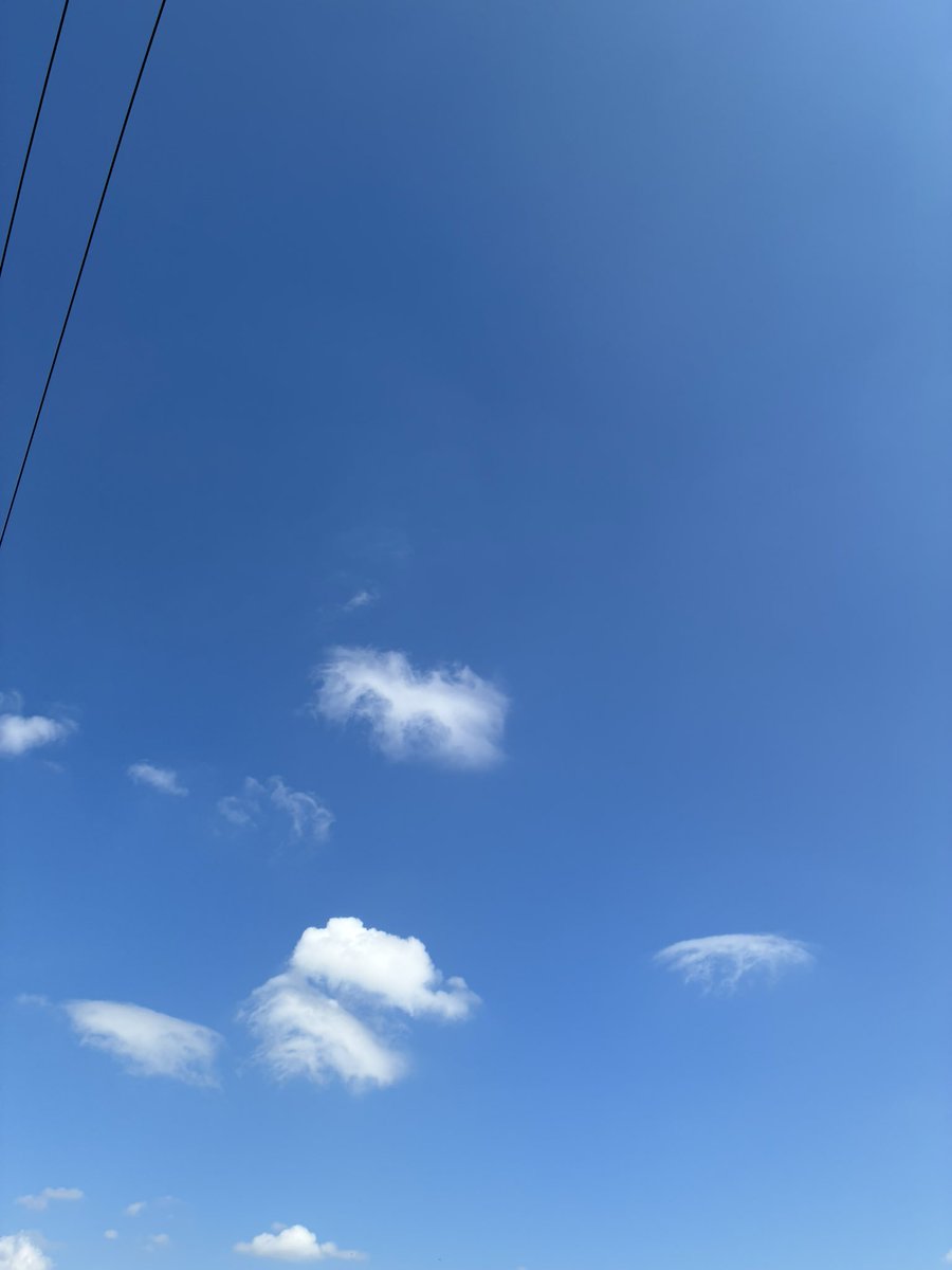 R606624's tweet photo. 年金事務所で待ってると
後ろのおばちゃんが
かなりのボリュームで職員に
食ってかかってる
年金受給の手続きをしたけど
受給開始が来年からと言われ
かなりご立腹してる様子
「私12月が誕生日だから12月にお金
ほしいのよ。楽しみにしてるのに
なんで来年からなのよ〜」
理由が可愛過ぎて腹ちぎれそう https://t.co/qbRF835WtE