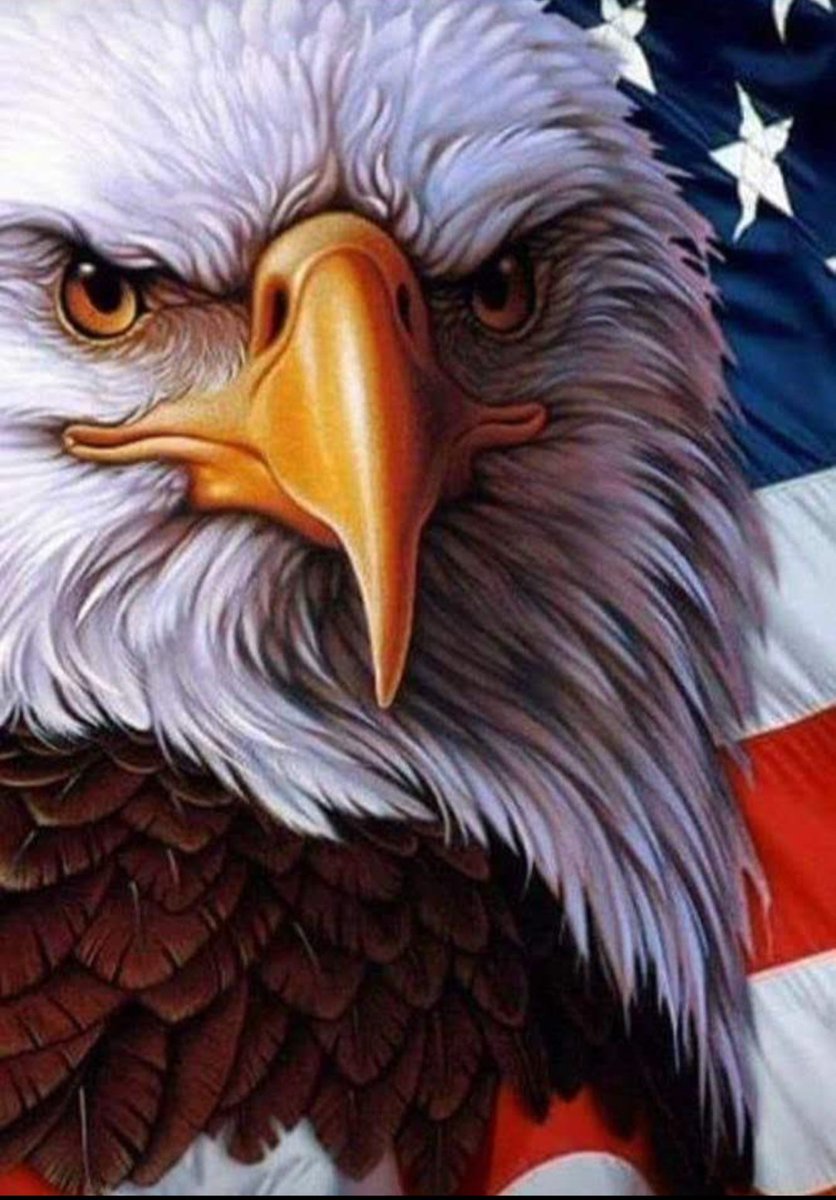 SkilledproQ's tweet photo. @glennbeck https://t.co/8feFsTcYo5