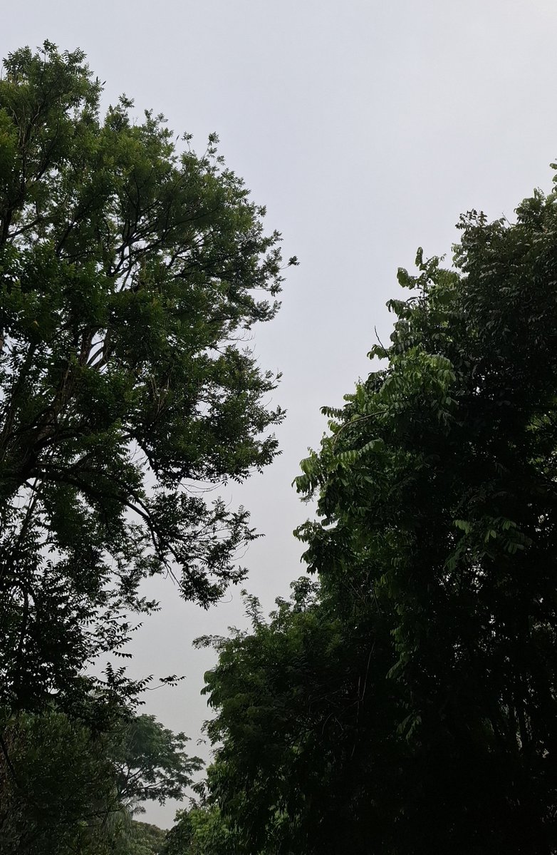 Shimmernowss's tweet photo. 😮‍💨☁️ https://t.co/qm0vuzvCJy