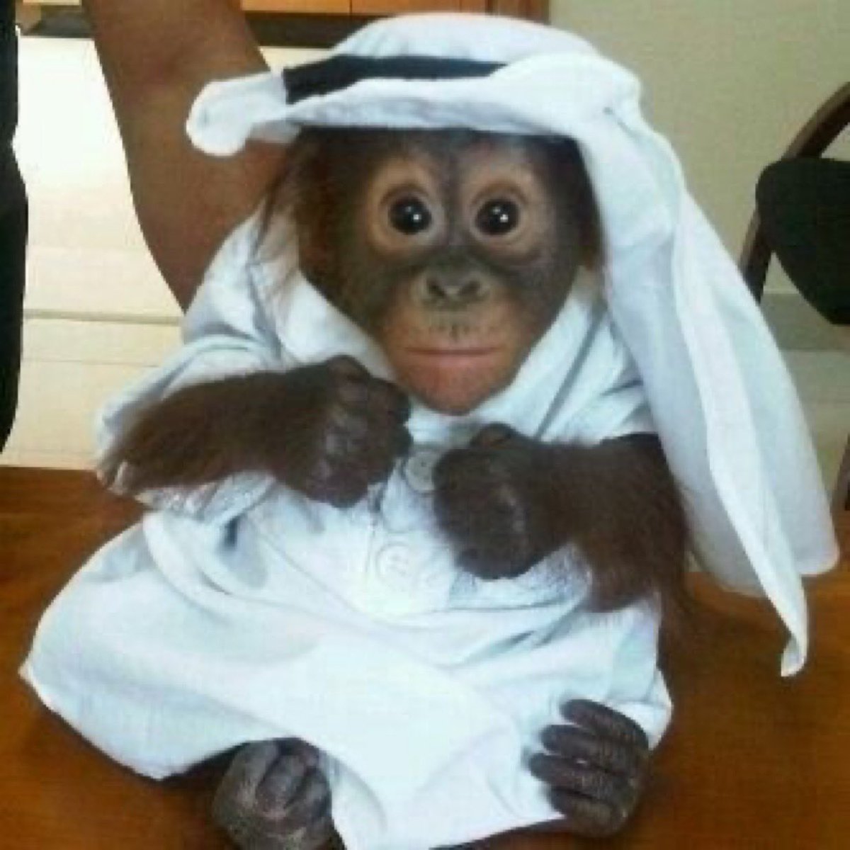ZBdly65819's tweet photo. @Ghada_K_s_a الإمارات:👇
धन्यवाद 🇮🇳
Obrigado 🇧🇷
Thank you 🇬🇧
🇮🇱 תודה https://t.co/S8YWDiTVhD