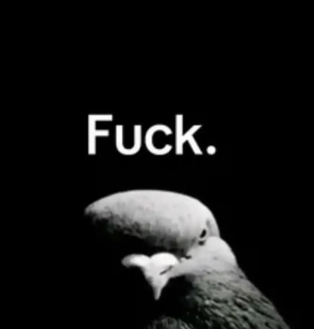 emo4rab's tweet photo. i’m so emo yall 😔 https://t.co/VJqMimaRDG